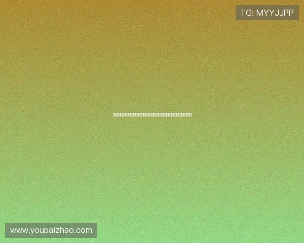 亚星客车官网揭秘为世界杯提供的定制化客车服务与赛事交通支持方案